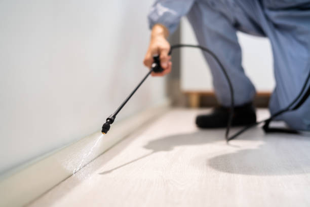 Licensed Termite Control service in Ackerman, MS - Nex Pest Control