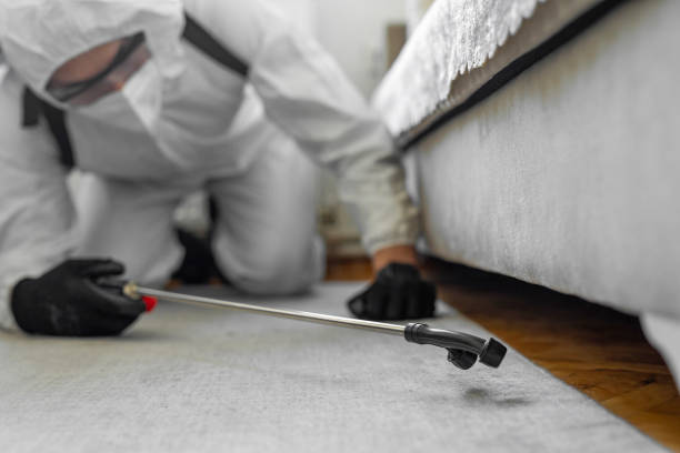 Professional Termite Control technician working in Ackerman, MS