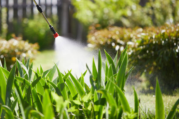 24/7 Emergency Termite Control experts in Ackerman, MS