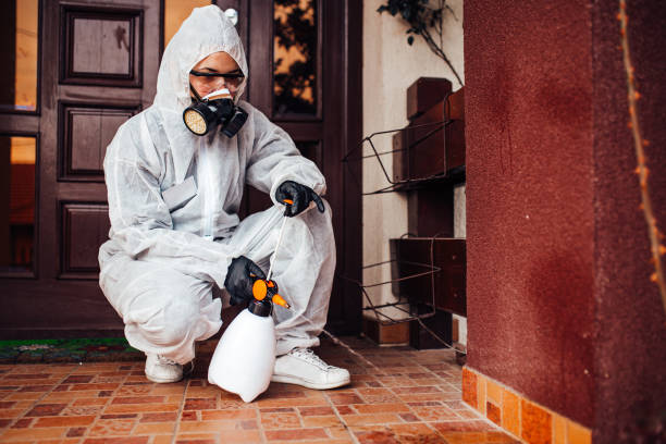 Reliable Termite Control contractor in Ackerman, MS by Nex Pest Control