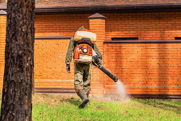 Top rated local Termite Control specialists in Ackerman, MS